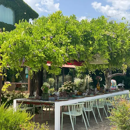 Tenuta San Masseo - Boutique Farm & Bed & Breakfast