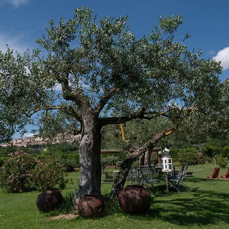 Bed & Breakfast Tenuta San Masseo - Boutique Farm & Assisi